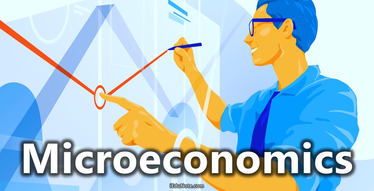 MICROECONOMICS